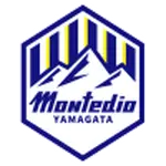 Montedio Yamagata logo