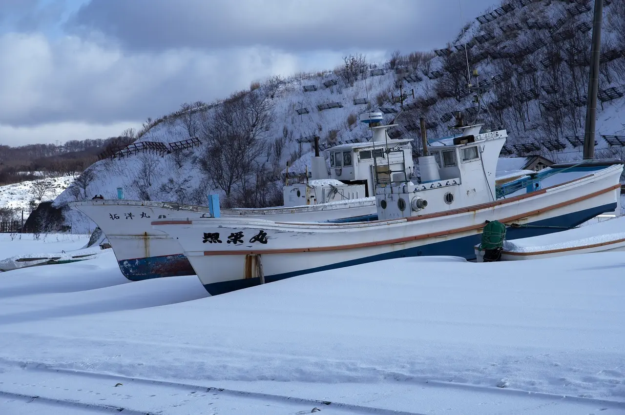 Hvordan er vejret i Japan i januar?