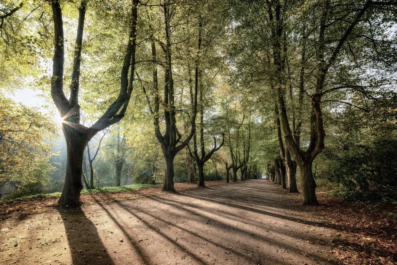 Hvordan er vejret i Osaka i november?