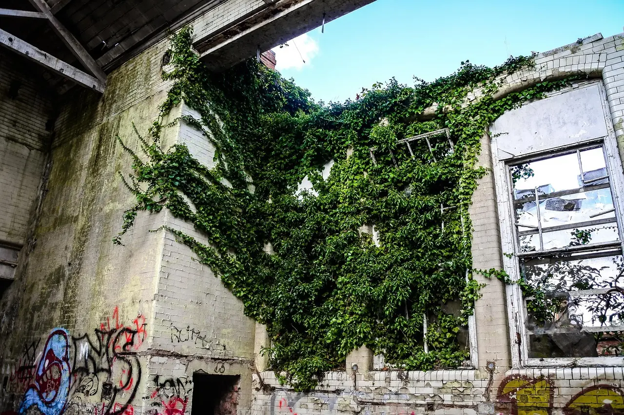 Medvirkende i Anstalten